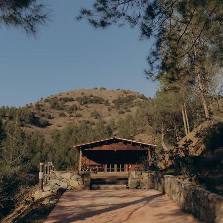 Bosco Paradiso Lemesós Eksteriør bilde