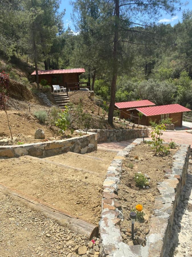 Bosco Paradiso Lemesós Eksteriør bilde