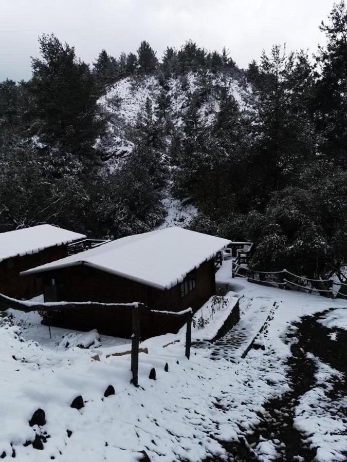 Bosco Paradiso Lemesós Eksteriør bilde