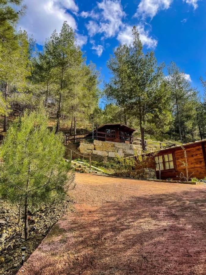 Bosco Paradiso Lemesós Eksteriør bilde